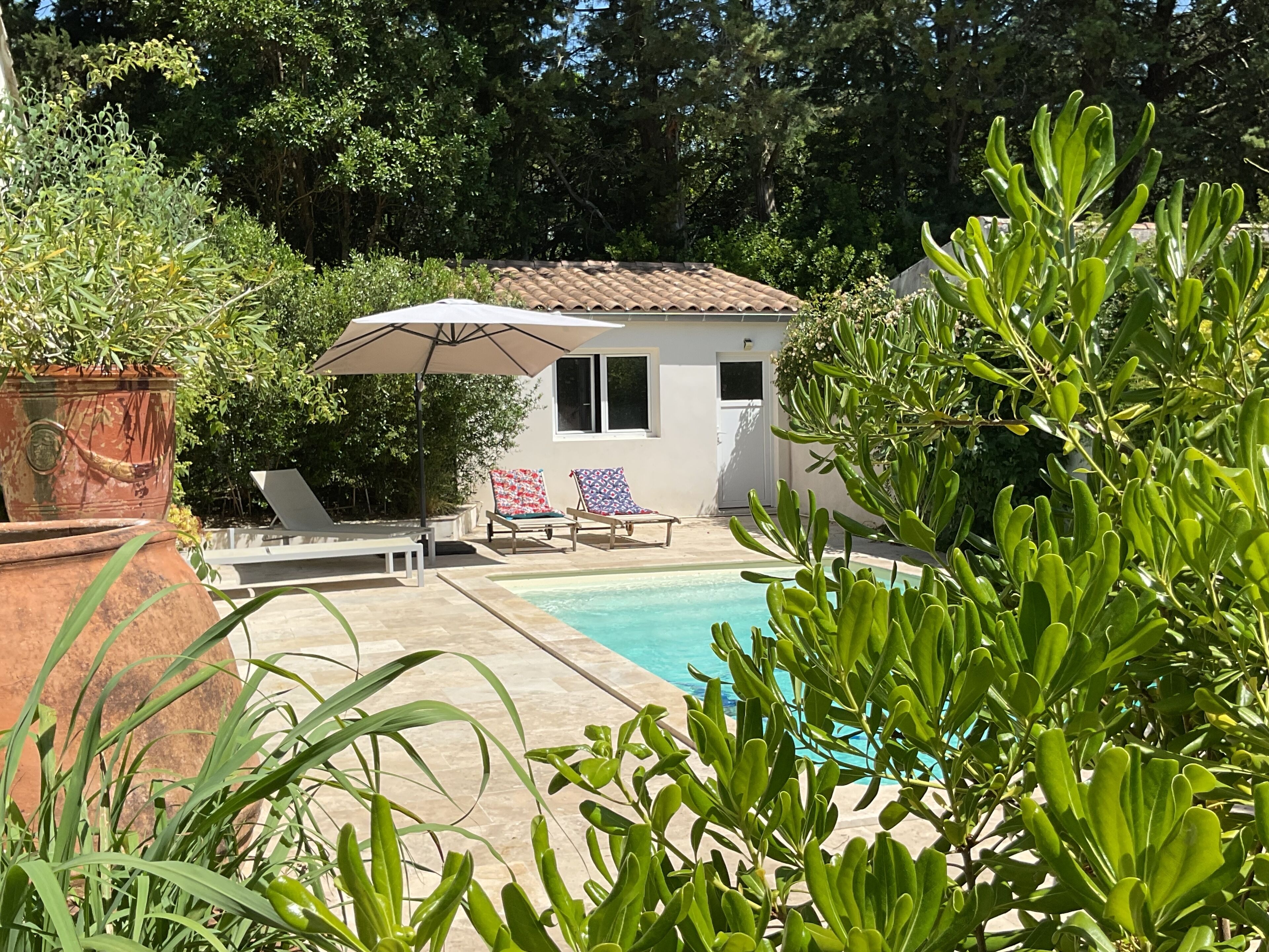 Et poolområde med liggestole og en parasol, omgivet af grønt og en lille bygning med vinduer.