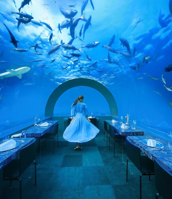 Restaurant - You & Me Maldives - Adults Only - Premium All-Inclusive (Uthurumaafaru)