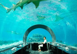 Restaurant - You & Me Maldives - Adults Only - Premium All-Inclusive (Uthurumaafaru)