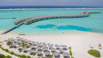 ビーチ / オーシャン ビュー