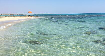 Trullo confortable dans la vallée d'Itria