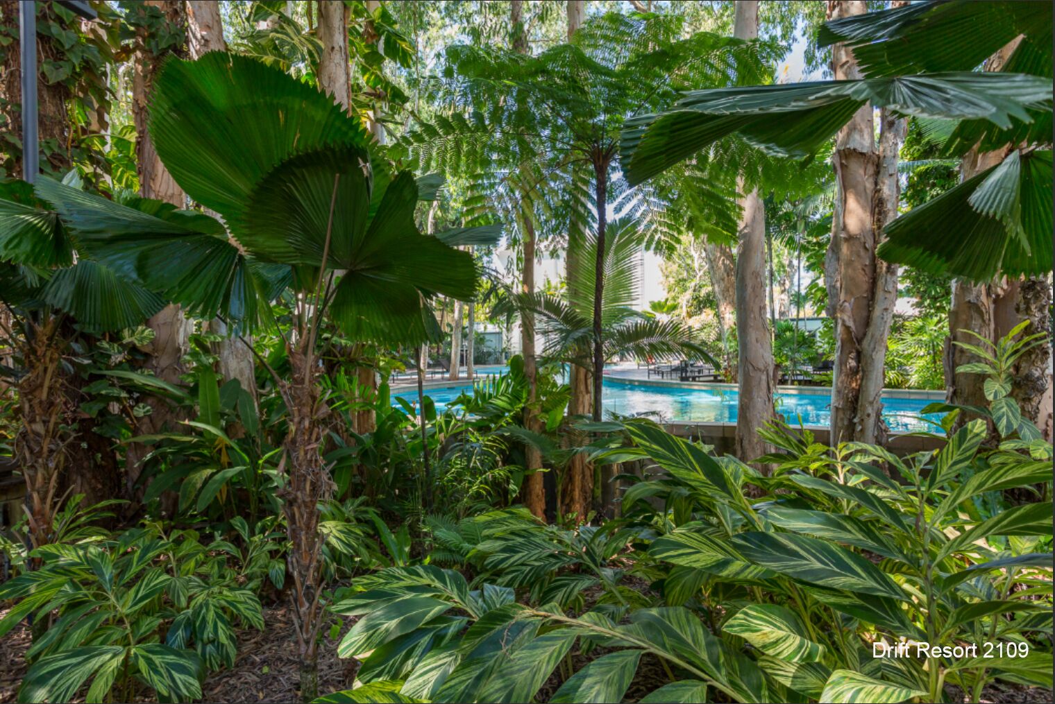 Lxry 2 bed Apt-Sea and Mountain View — image 28