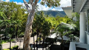 A courtyard with a large tree, palm trees, and a mountain in the background. - Lxry 2 bed Apt-Sea and Mountain View (Palm Cove)