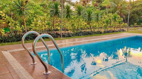 A swimming pool with metal handrails, surrounded by lush greenery and a tiled deck. - Fernando's Hotel (Sorsogon City)