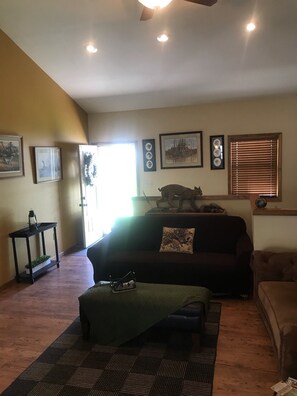 TV, fireplace, DVD player, video library