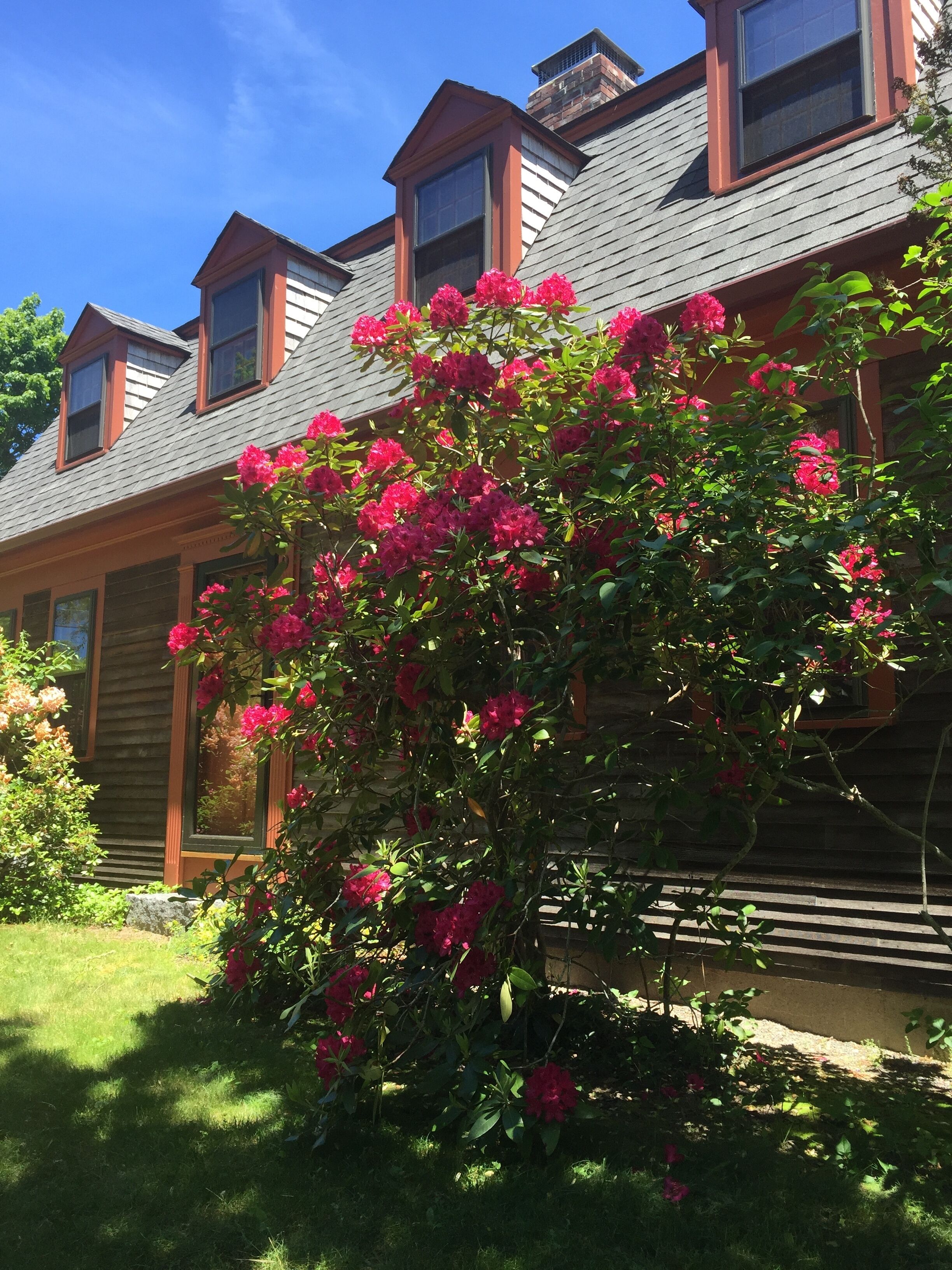Cape Cod Retreat on quiet residential street!
