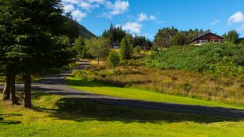 Nhà gỗ | Khuôn viên nơi lưu trú