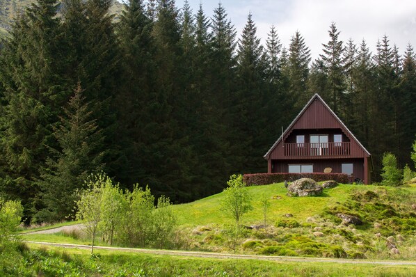 Eine Holzhütte mit einem dreieckigen Dach, umgeben von dichtem Wald, auf einem grasbewachsen Hügel.