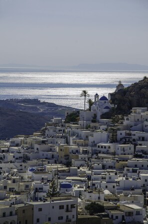 Detalhe da parte interna