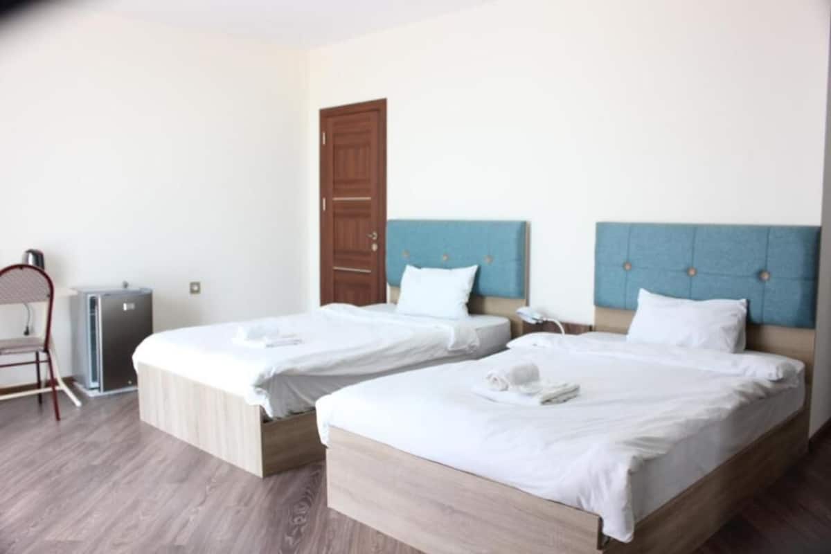 Biancheria da letto ipoallergenica, minibar, una scrivania