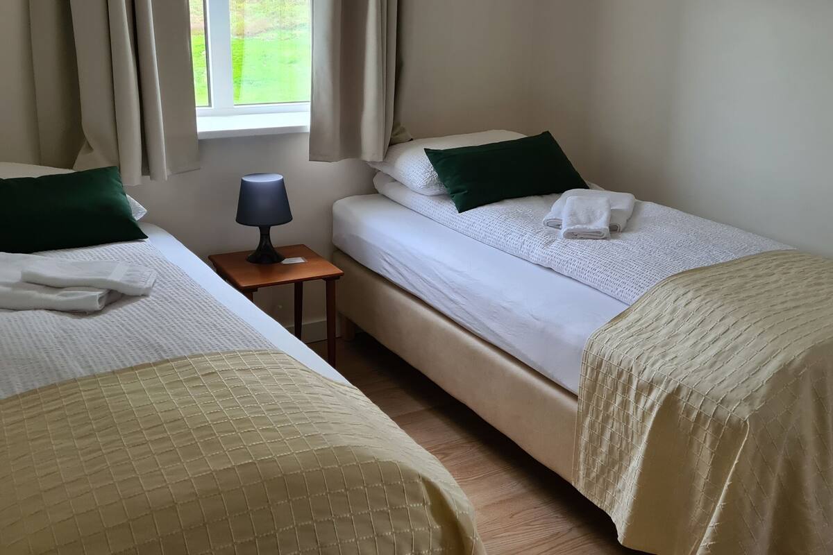 Une chambre double avec deux lits, chacun agrémenté d’un oreiller vert et de linge de lit blanc, une table de chevet avec une lampe et une fenêtre avec des rideaux.
