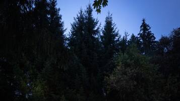 Tent (Lodge Couple) | Individually decorated, individually furnished, free WiFi, bed sheets