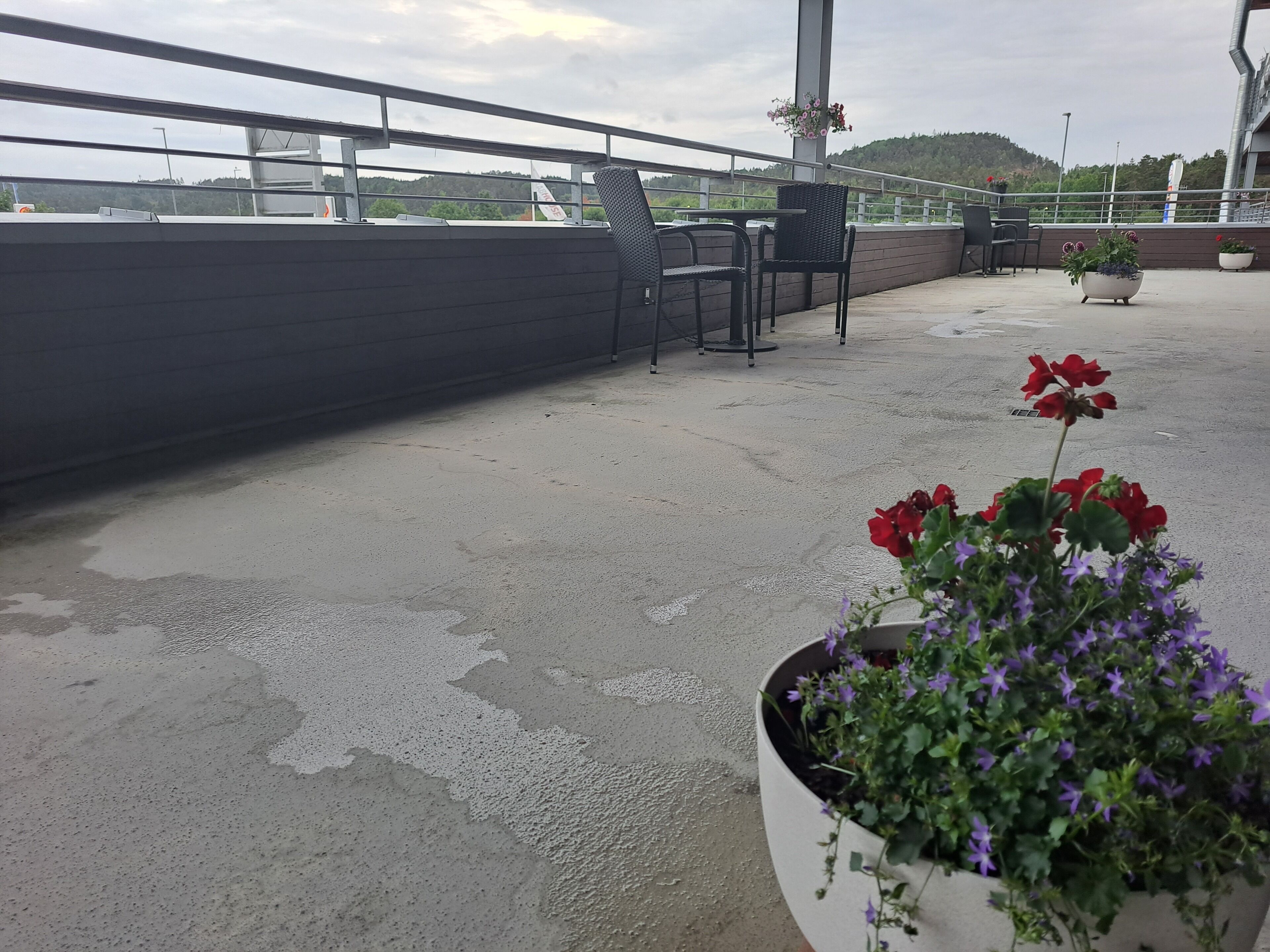 Une terrasse sur le toit avec un sol en béton, une rambarde en métal et des plantes en pot aux fleurs rouges et violettes.