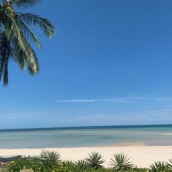 Trên bãi biển, cát trắng, ghế dài tắm nắng, dù trên bãi biển