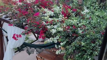 Terraço/pátio