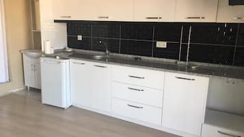 Fridge, electric kettle
