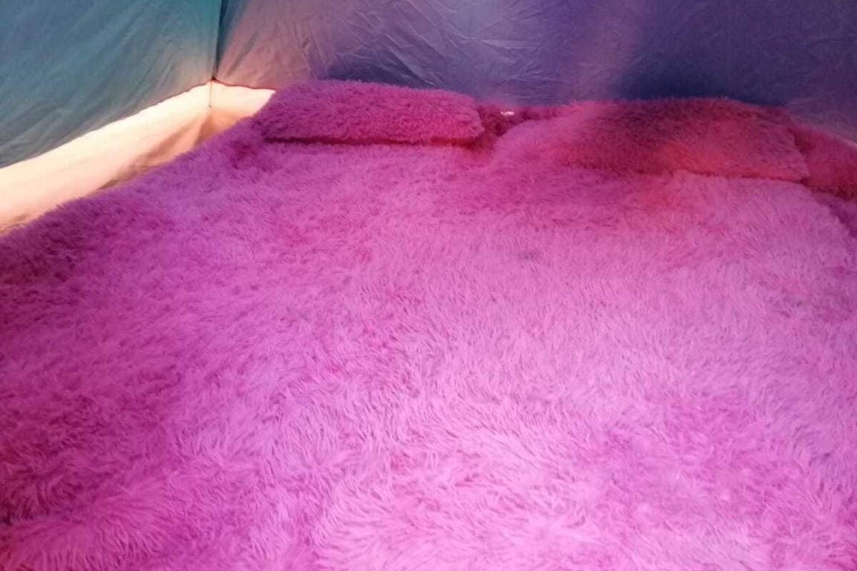 A room with a pink fluffy bedspread and a blue wall.