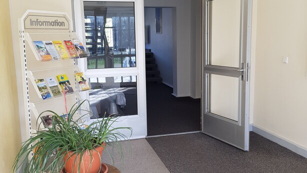 Un área de recepción con una silla de mimbre, una planta en maceta y un mostrador de información.