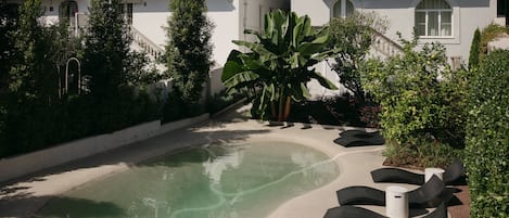 A pool area with lounge chairs, a large plant, and a building with balconies.