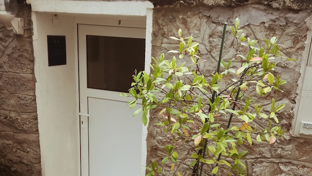 A potted plant next to a door with a stone wall. - Studio Rakella (Opatija)
