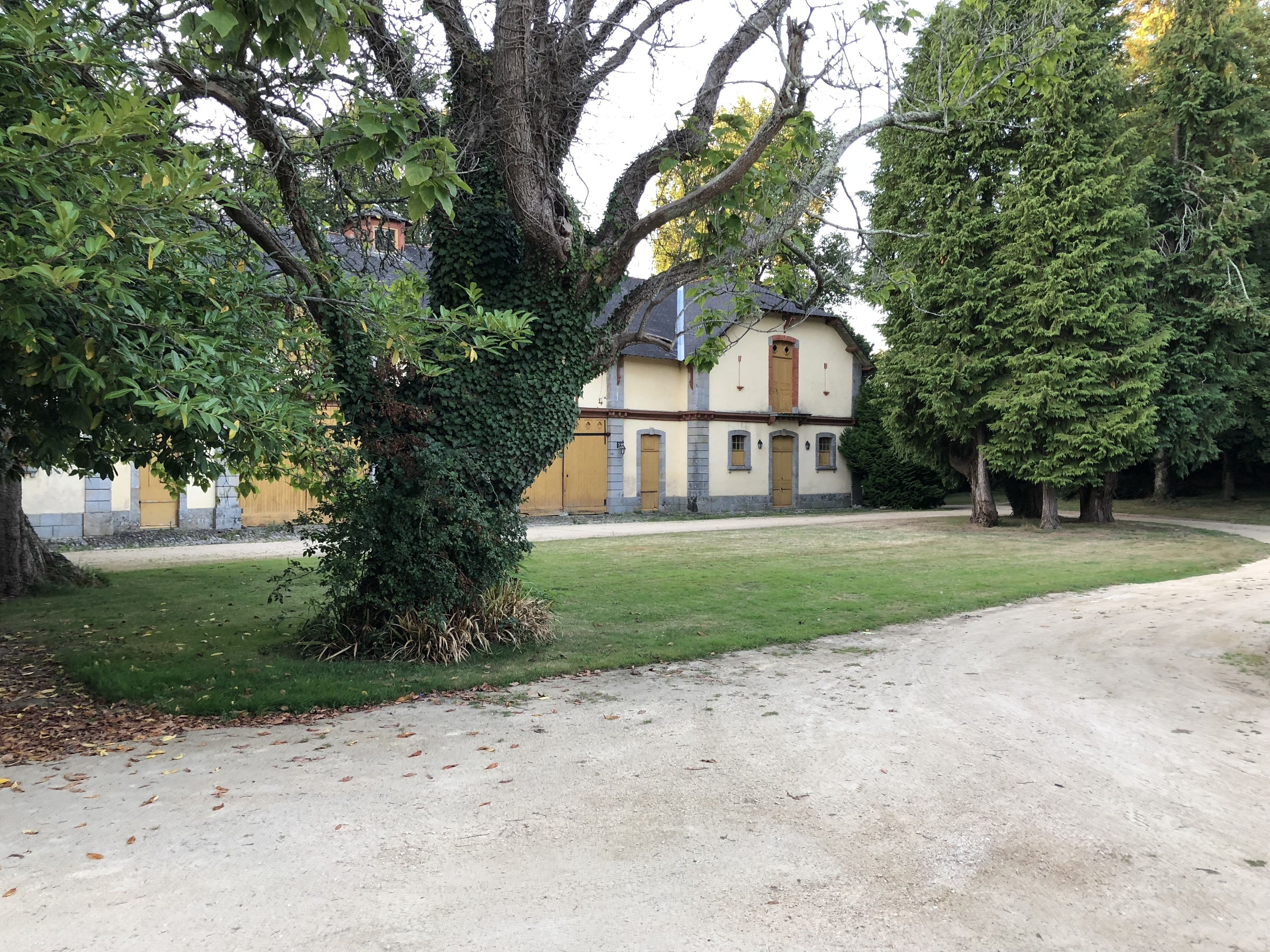 En byggnad med en gul fasad och ett stort träd framför.