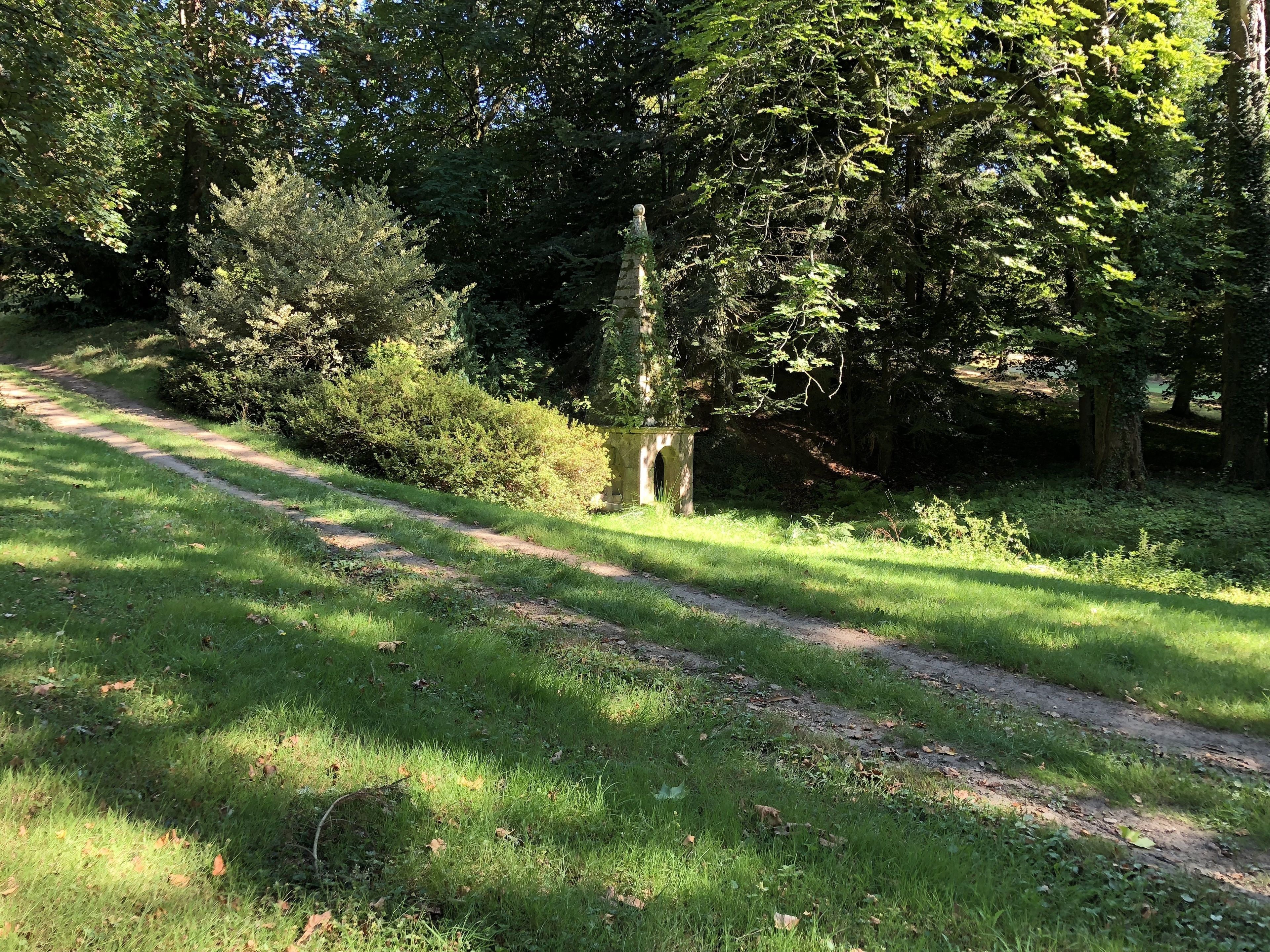 Un étroit sentier de terre, bordé d’une végétation luxuriante et d’arbres.