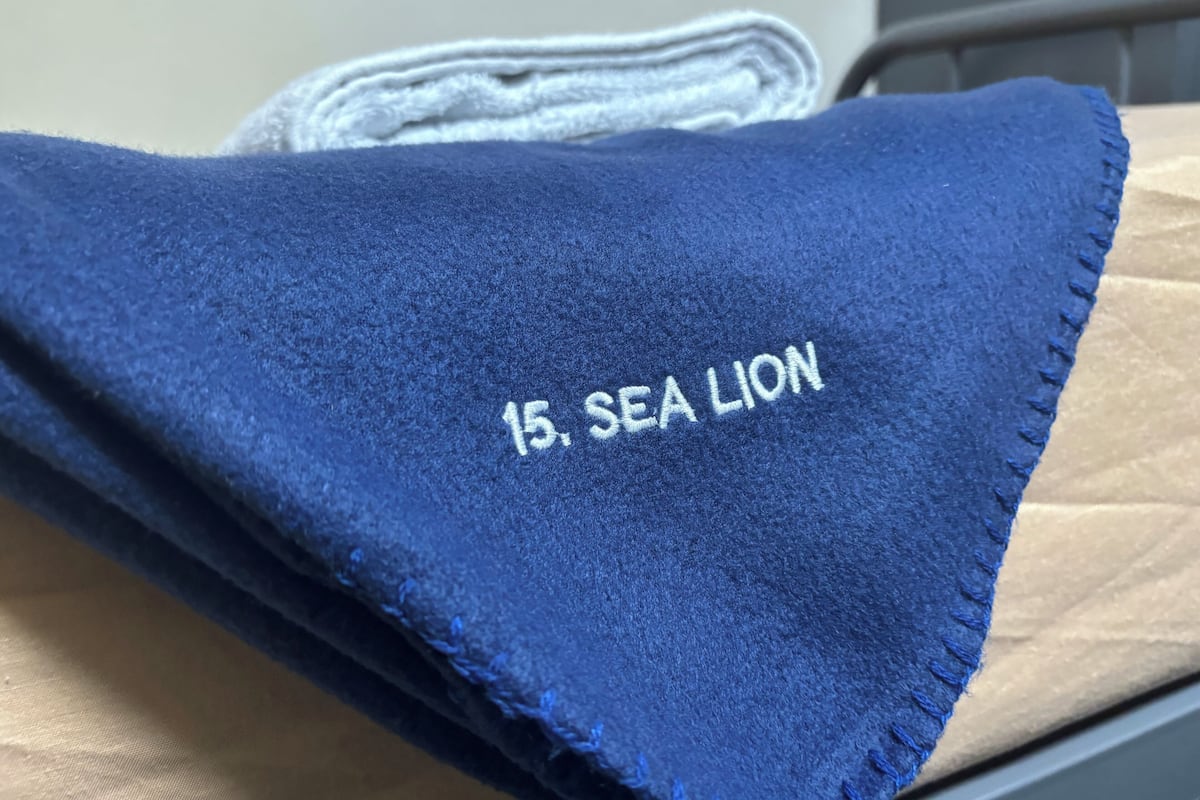 Een blauwe handdoek met de tekst '15. SEA LION' geborduurd, op een bed met een beige kussen.