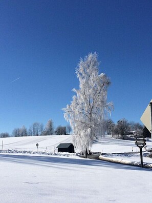 Exterior - Pension Fernblick (Sankt Oswald-Riedlhuette)