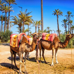 Activités pour enfants