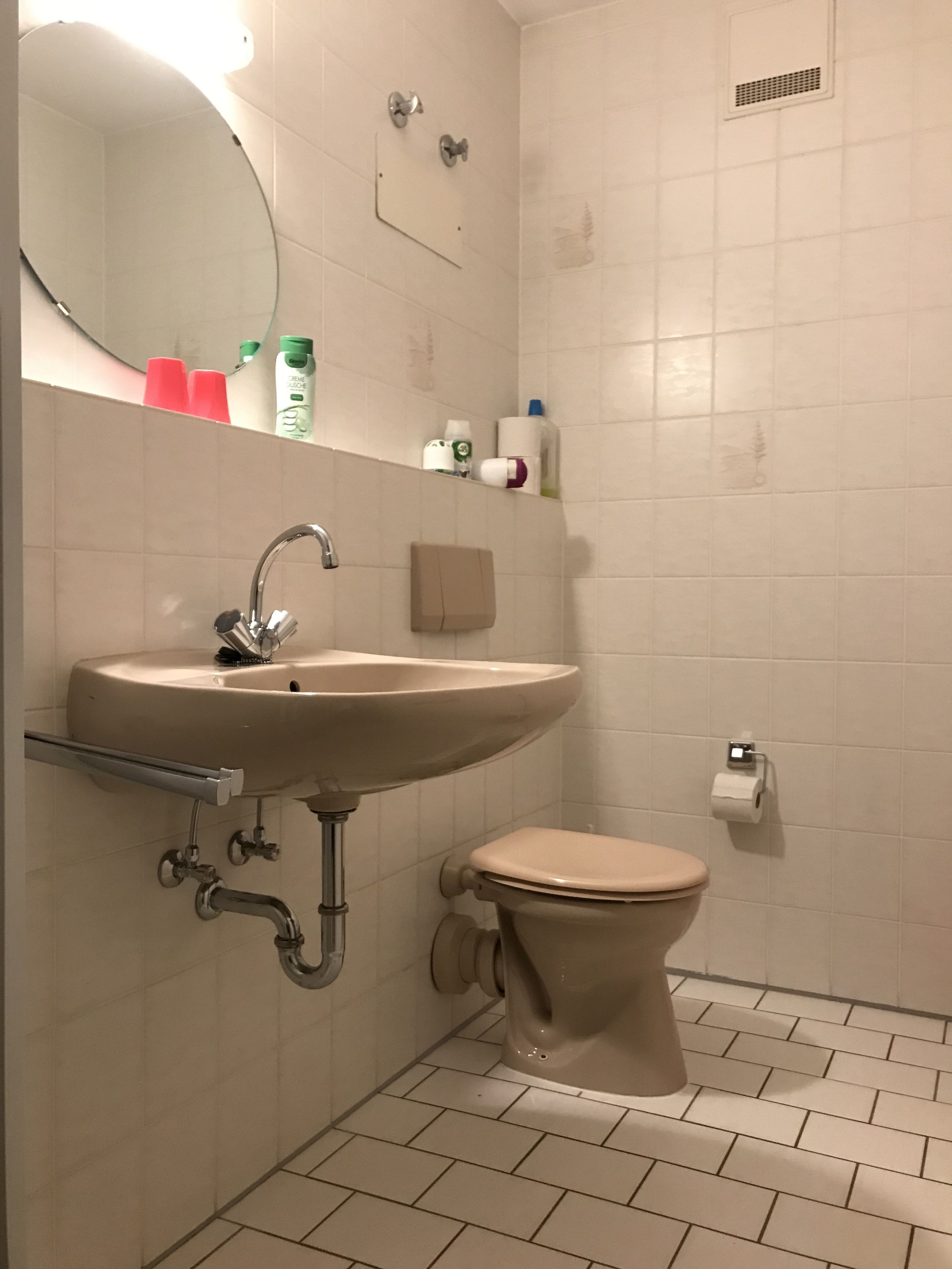 A bathroom with a sink, toilet, and mirror.