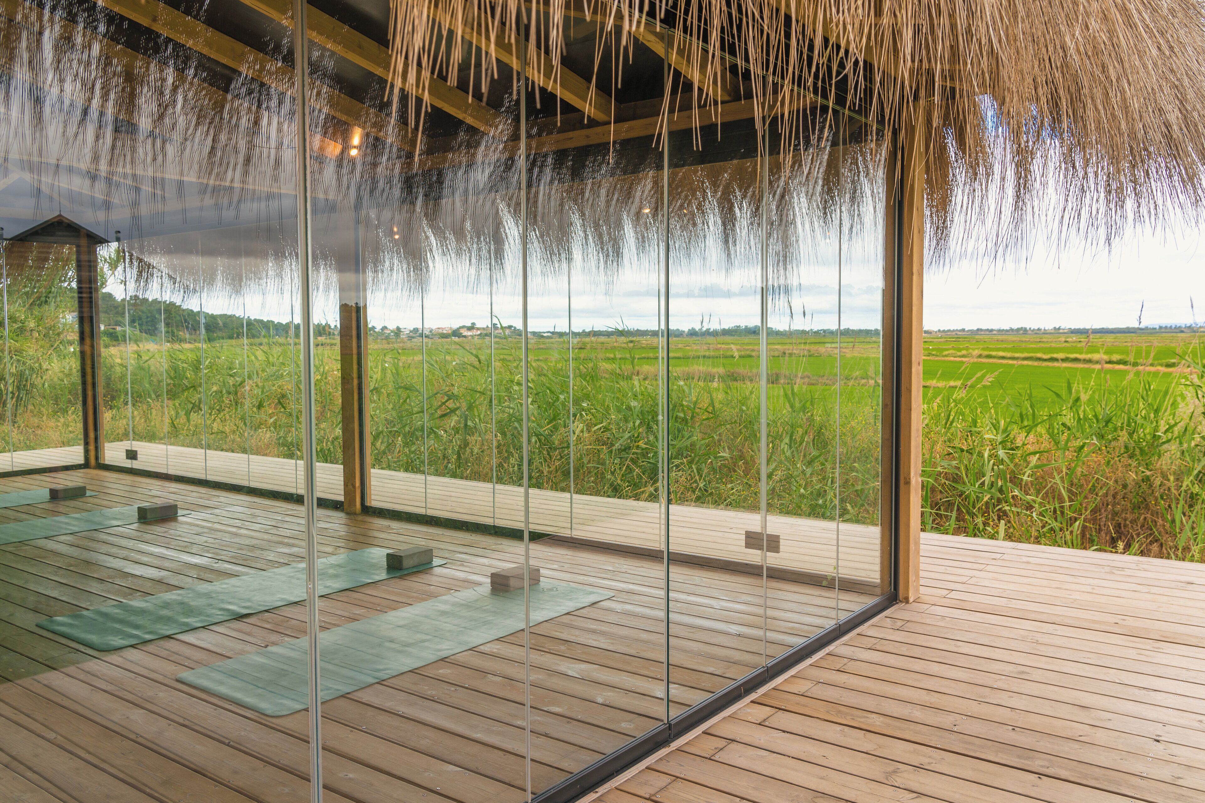 A wooden deck with glass walls overlooking a green field.
