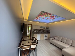 Classic Condo | Private kitchenette | Mini-fridge, oven, stovetop, griddle - Uzungol Ozbek Apart (Çaykara)