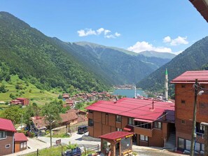 公寓, 1 間臥室, 陽台, 湖景 | 客房景觀
