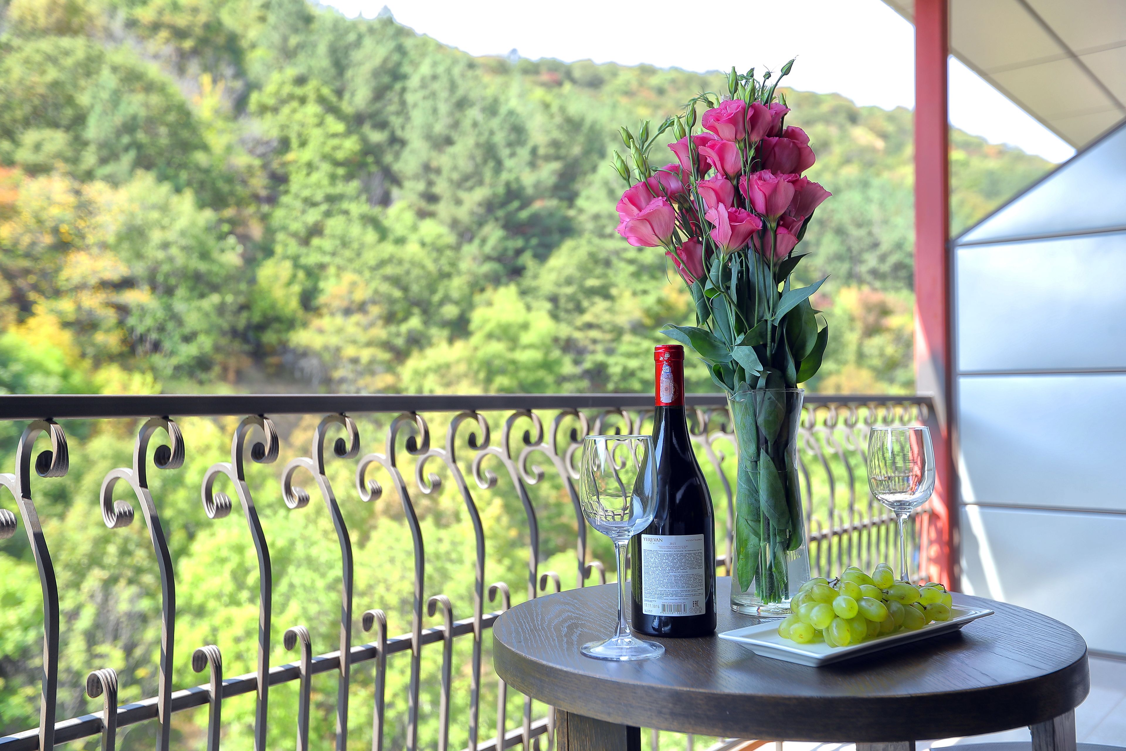 Dobbeltrom – superior | Terrasse/patio