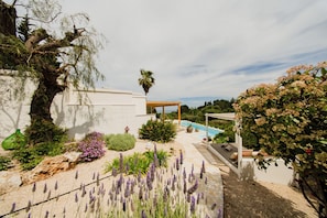 Un jardín con piscina, una pérgola y diversas plantas.