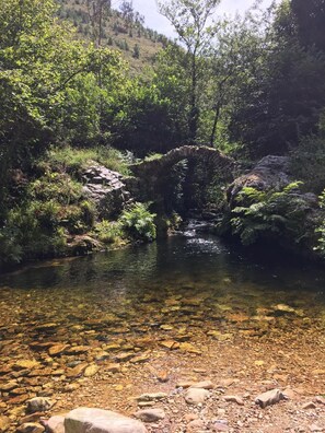 Property grounds - Pensión San Jorge (Llanes)