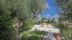 A paved pathway leading to a stone structure surrounded by olive trees and greenery. - TD Casale Del Vento in the Countryside with Pool (Monopoli)