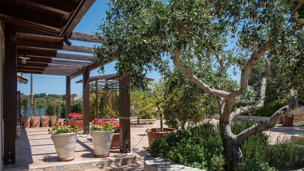 A covered outdoor area with stone steps leading to a seating area, surrounded by potted plants and a tree. - TD Casale Del Vento in the Countryside with Pool (Monopoli)