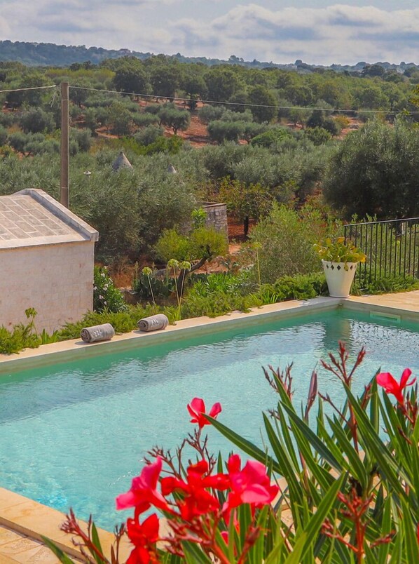 Aerial view - TD Casale Terranova Stone Farmhouse with Pool (Monopoli)