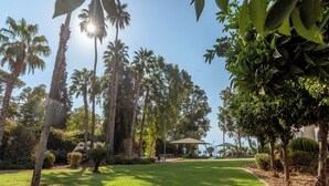A well-maintained garden with palm trees, a grassy lawn, and a covered seating area. - HI Karei Deshe Hostel (Emek HaYarden)