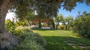 Ein Garten mit einer Pergola, einer Rasenfläche und verschiedenen Bäumen.