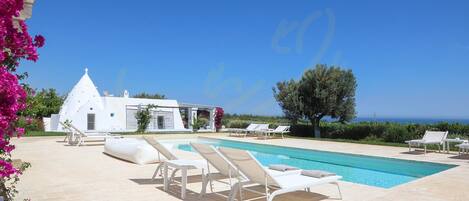 Outdoor pool, sun loungers