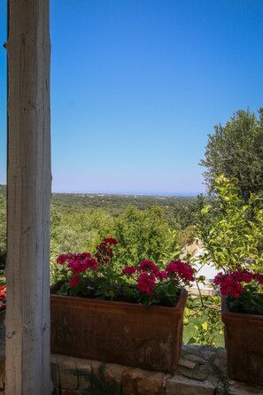 A wooden post with a view of a garden with red flowers and a distant landscape. - Trulli della Contessa (Monopoli)