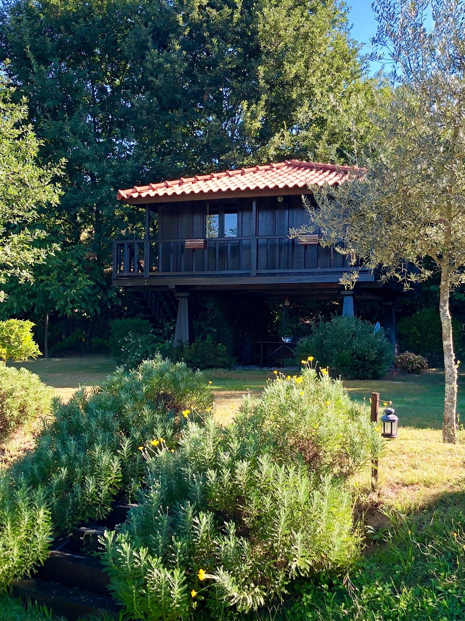 Bangalô, vista para o jardim | Terraço/pátio