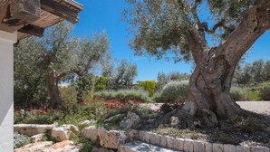 A garden with a large tree, a stone wall, and a variety of plants and flowers. - TD Trulli di Montaltino with Stunning Huge Pool (Polignano a Mare)