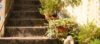 โรงแรมอัลโซ อันเดอร์ฮาร์ท