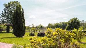 A garden with a variety of plants and a tall tree. - Ferienapartments Lüneburger Heide - Rehlingen (Rehlingen)