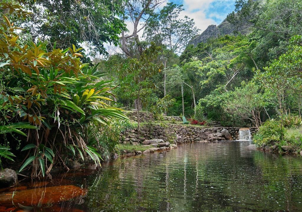 A serene garden with a pond, lush greenery, and a small waterfall.