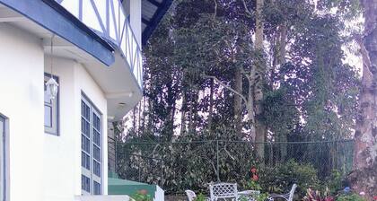 Windsor Forest Bungalow