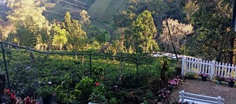 Windsor Forest Bungalow